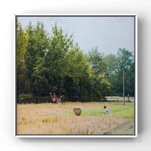 中国🇨🇳老太DH
